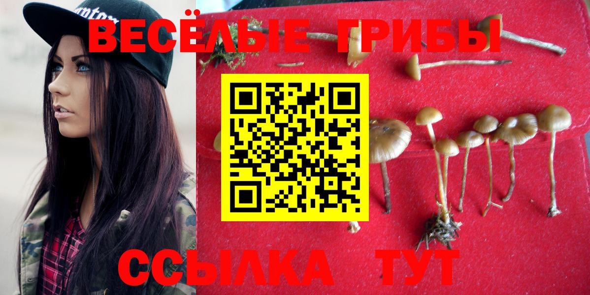 Пыть-Ях  Галлюциногенные грибы Magic Shrooms  Вход с VPN 